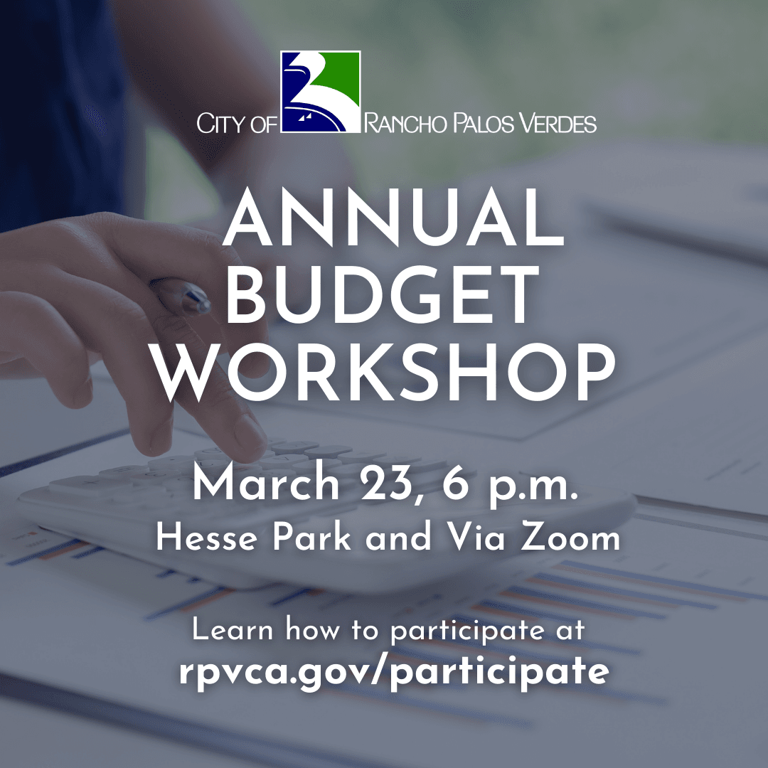 Budget Workshop