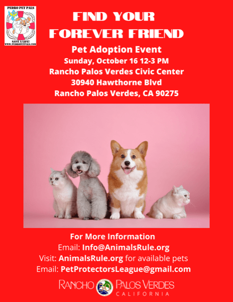 Pet Adoption Event graphic 