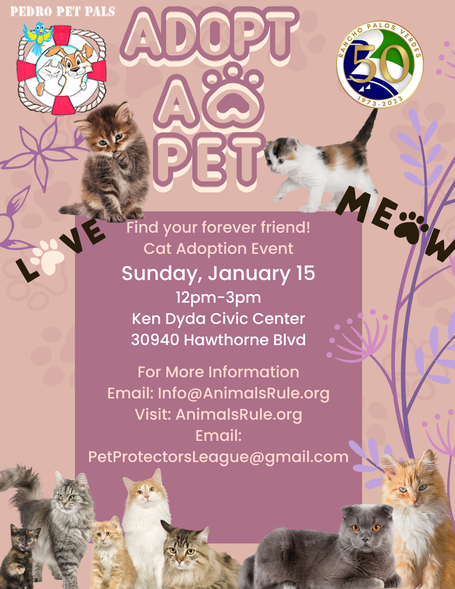 Pedro Pet Pals Cat Adoption