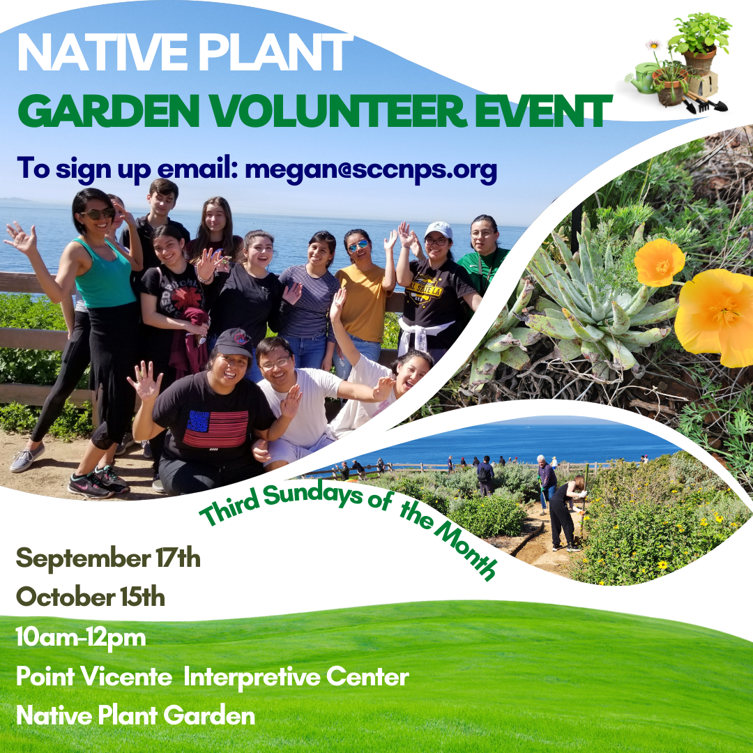 Native plant garden volunteer event fall 2023