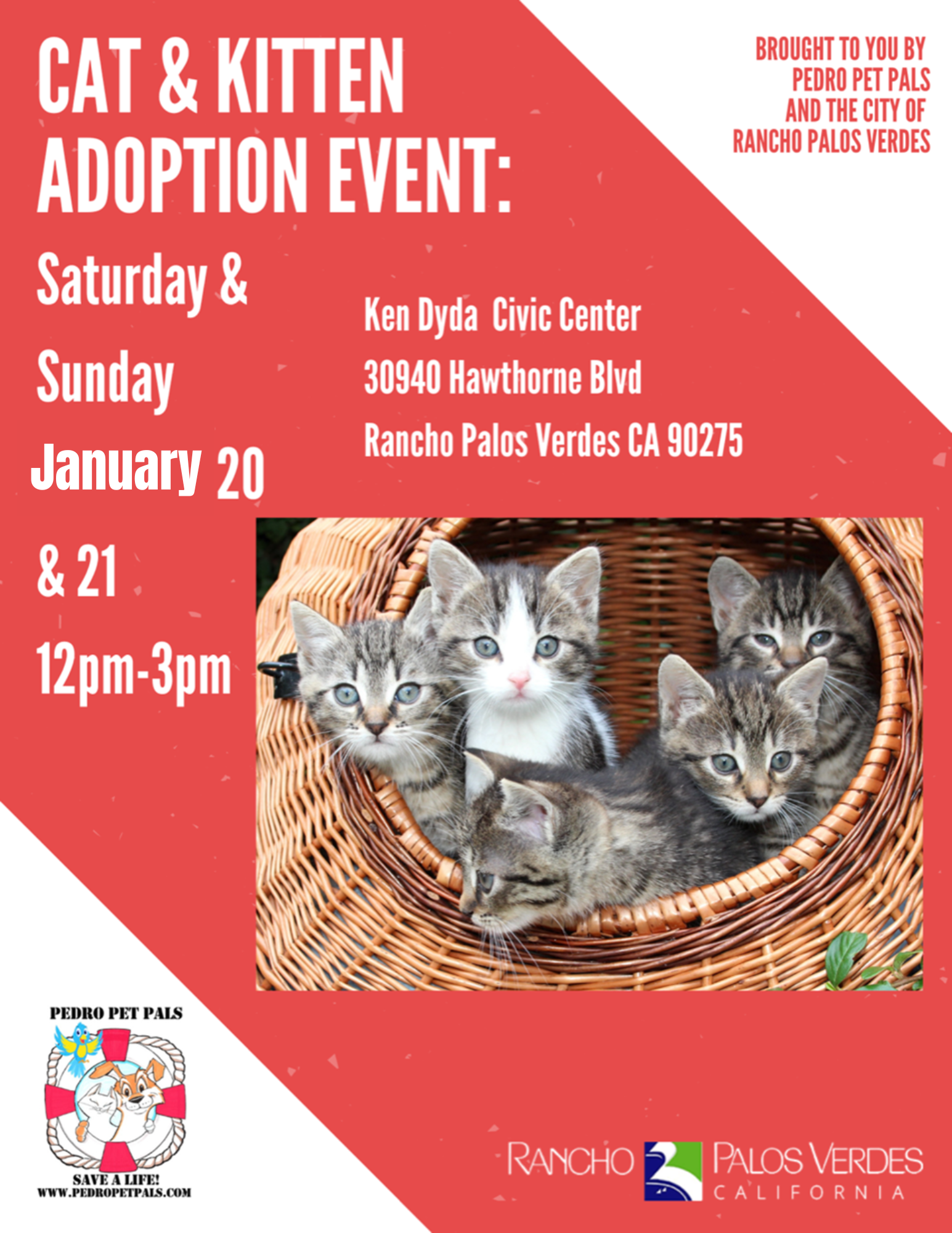 January Cat Adoptions