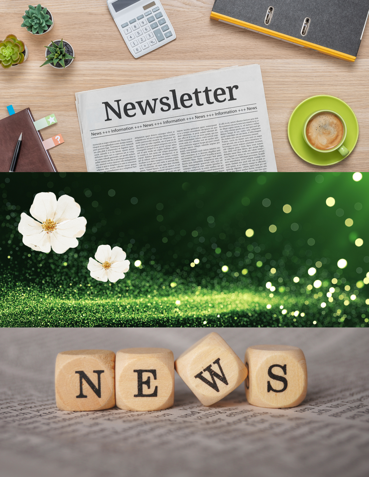 Spring Recreation Guide 2024 (1)