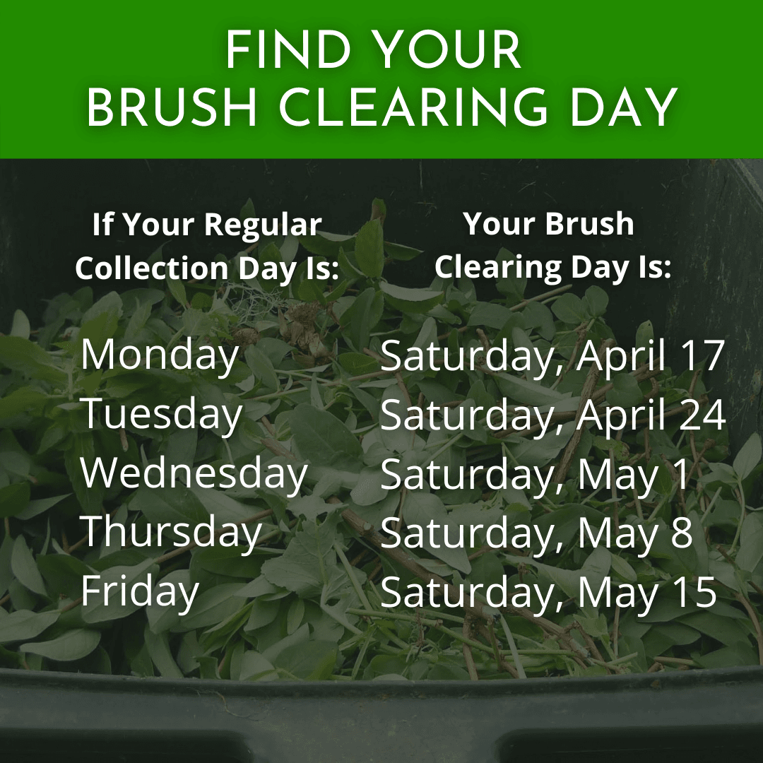 Find Your Brush Clearing Day