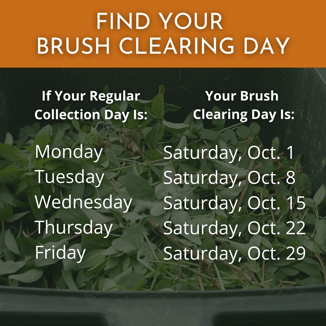 Find Your Brush Clearing Day graphic
