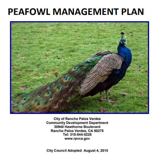 PMP Cover Image